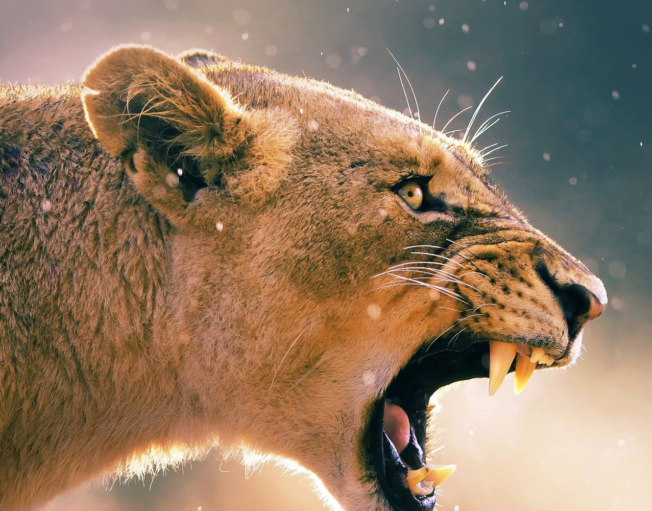 Fine-art photograph representing anger.